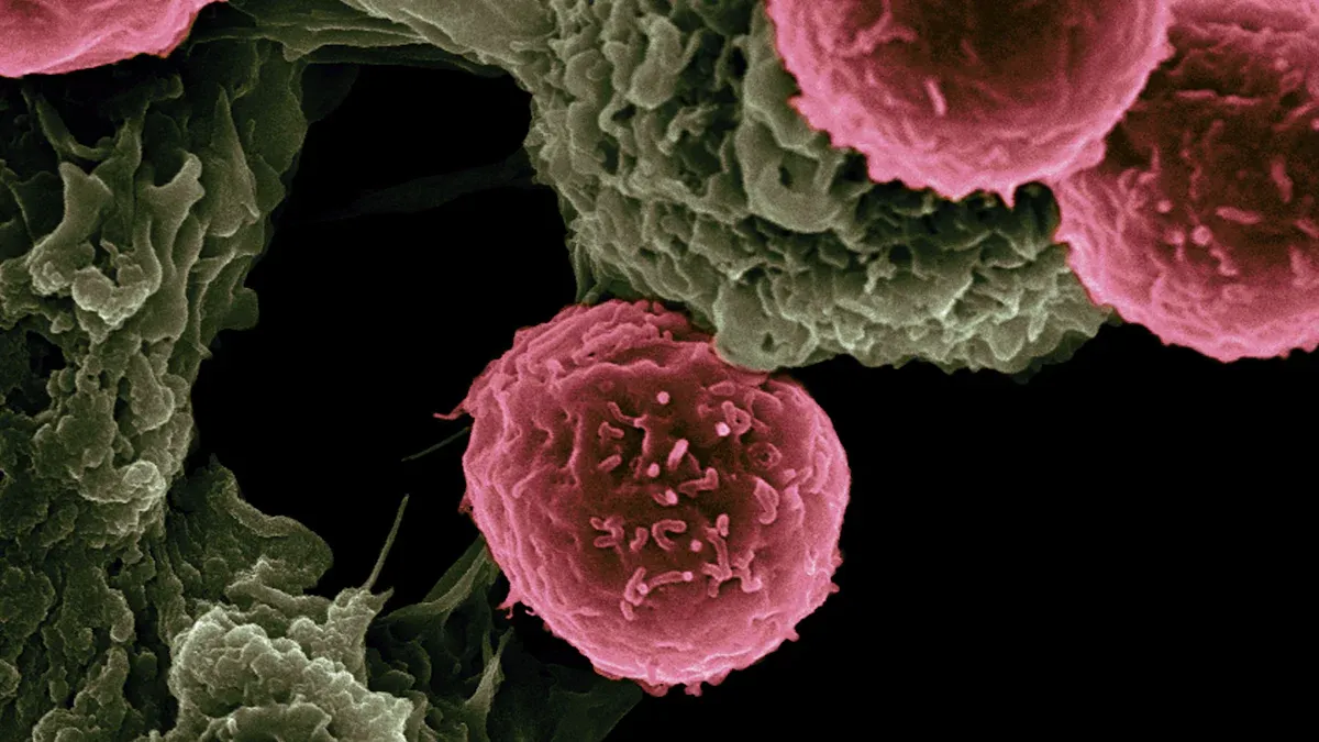 Applications in Disease Detection