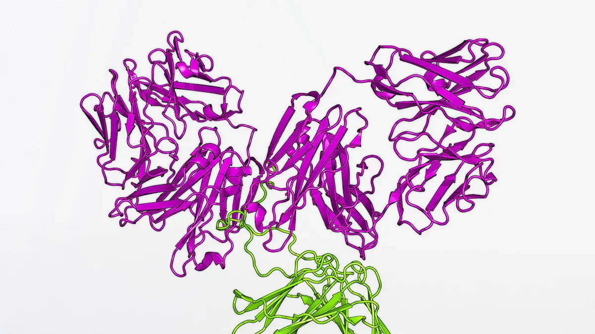 PyGene in Antibody Research