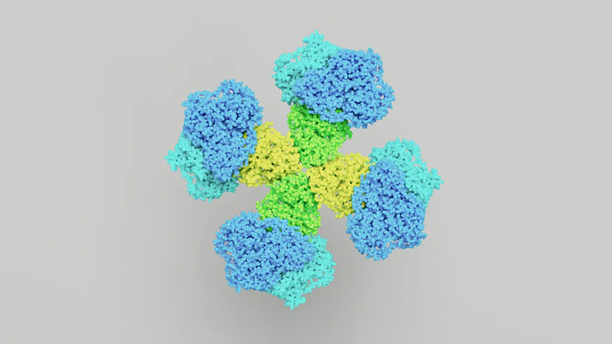 What Is Anti-Ro Antibody?
