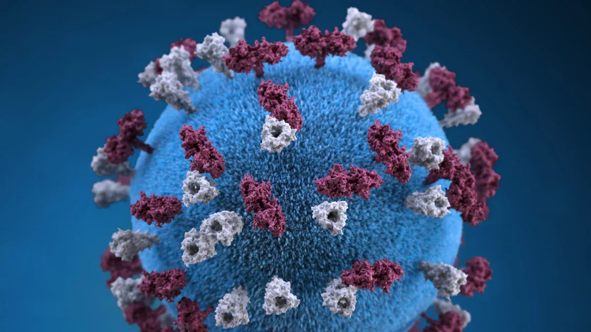 Rubella Virus IgG Ab and Immunity
