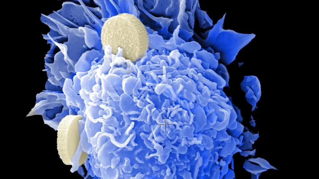 DNA Antibody Insights You Can’t Miss This Year
