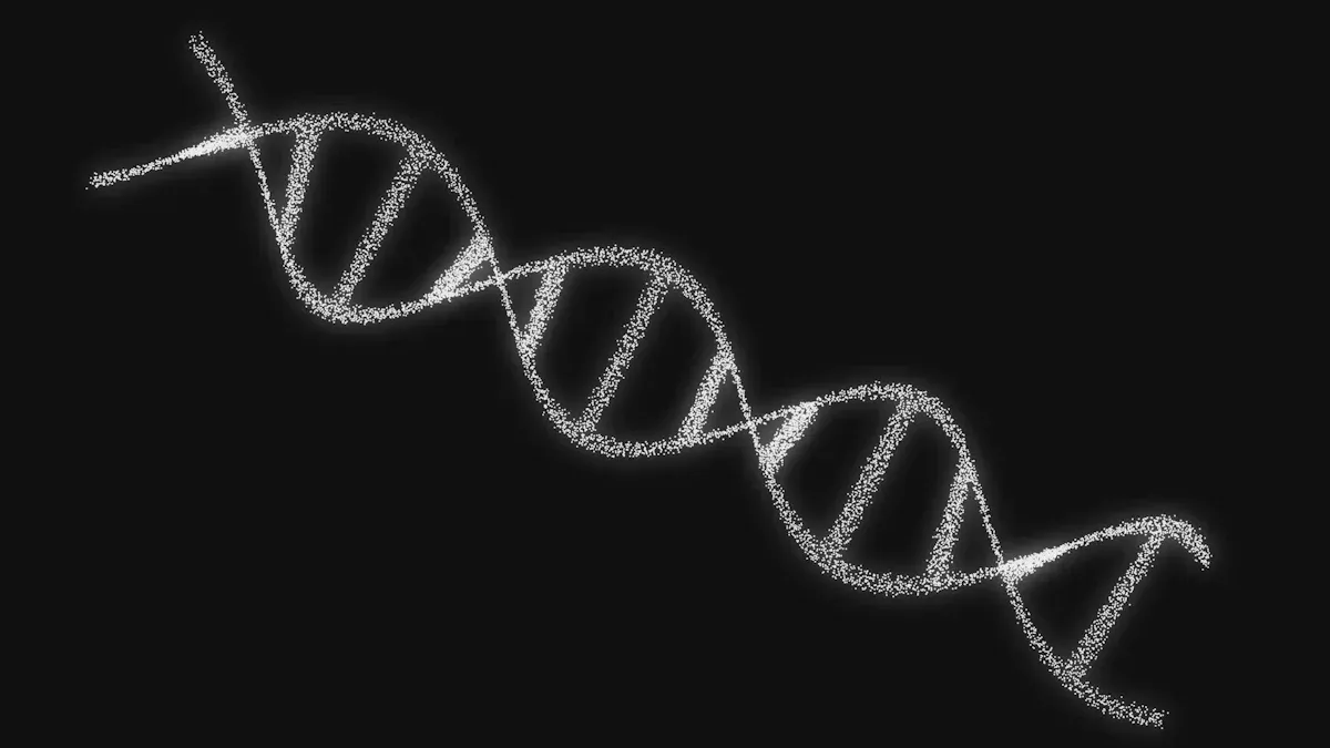 Best Practices for Plasmid DNA Concentration in Sanger Sequencing