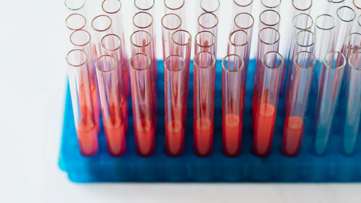 Hepatitis B Blood Tests Overview