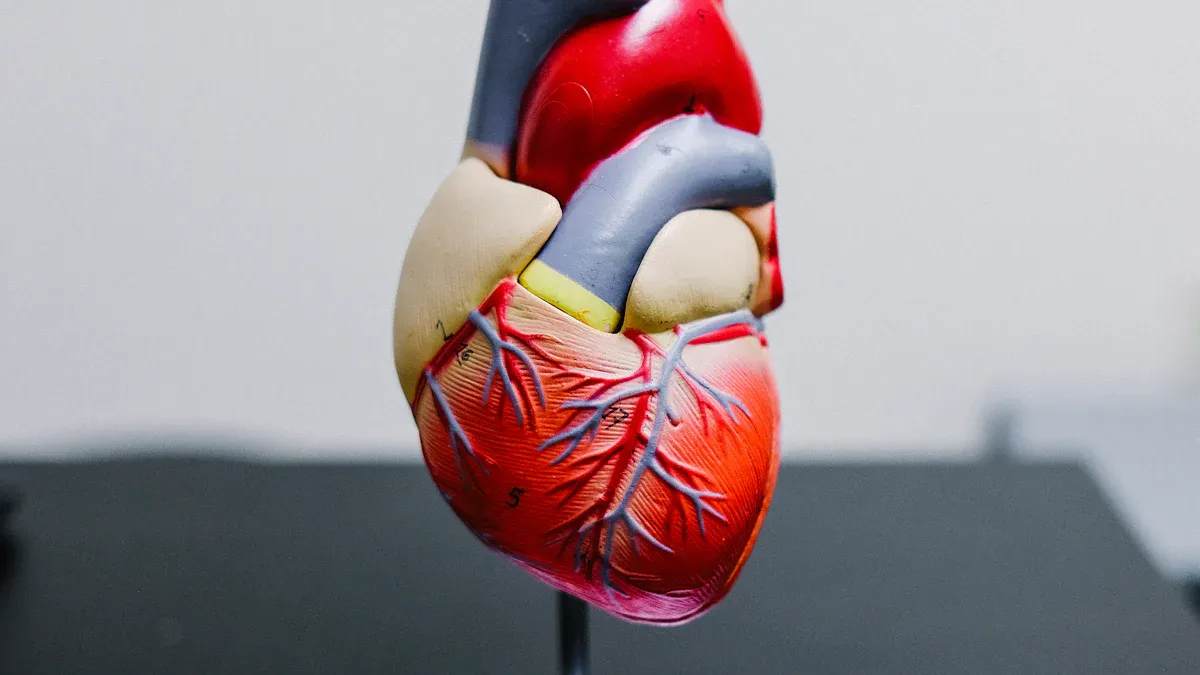 Heart Transplantation and SAD