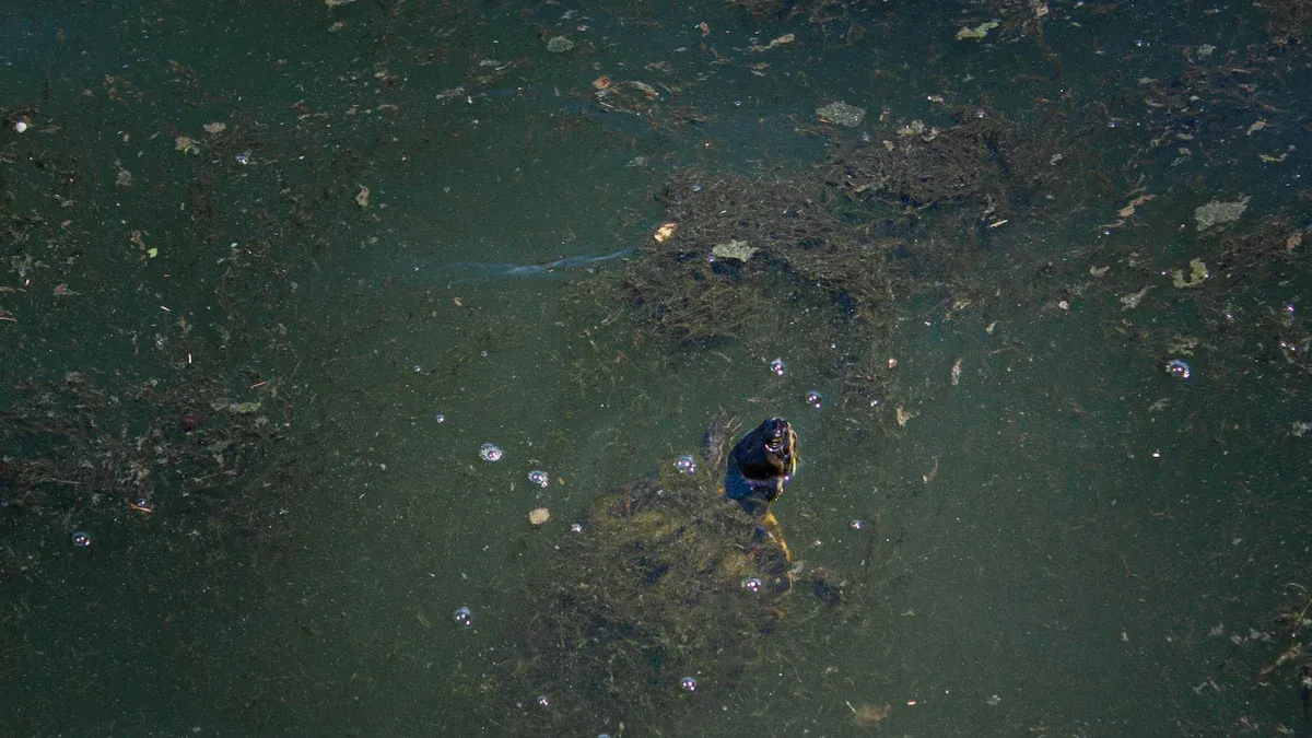 Detecting Hidden Toxins in Water
