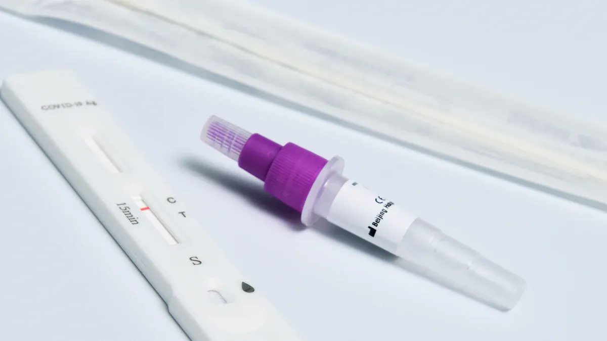 Lyme Disease Testing Overview