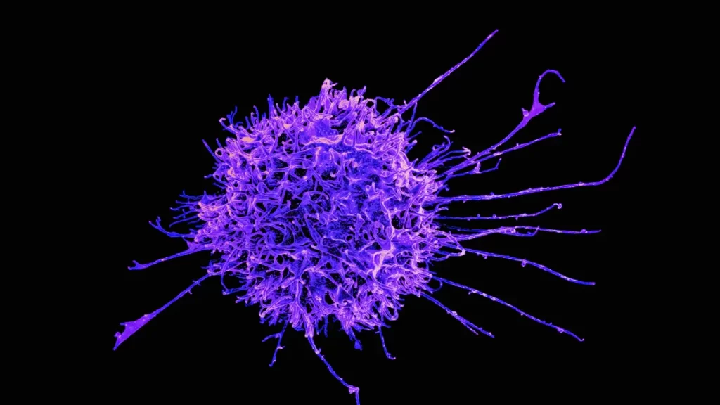 3 Key Ways Ro Antibody Impacts You in 2025