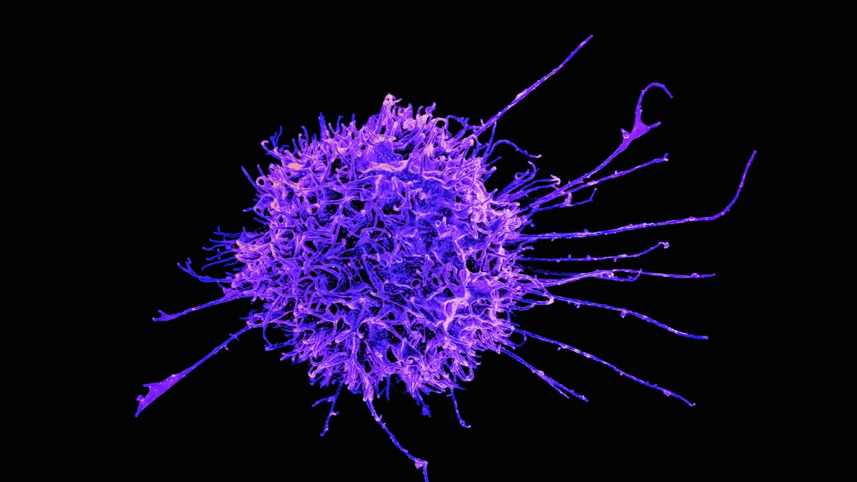 3 Key Ways Ro Antibody Impacts You in 2025