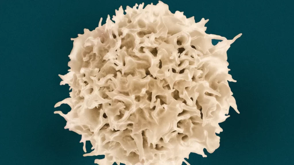 Antibody Mediated Rejection Help Without the Hype