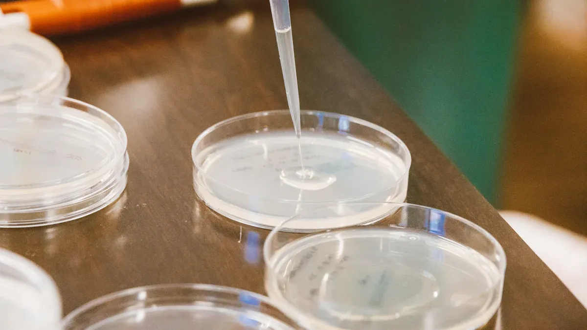 Pasteur Pipette Applications in Immunoprecipitation: Best Practices for 2025