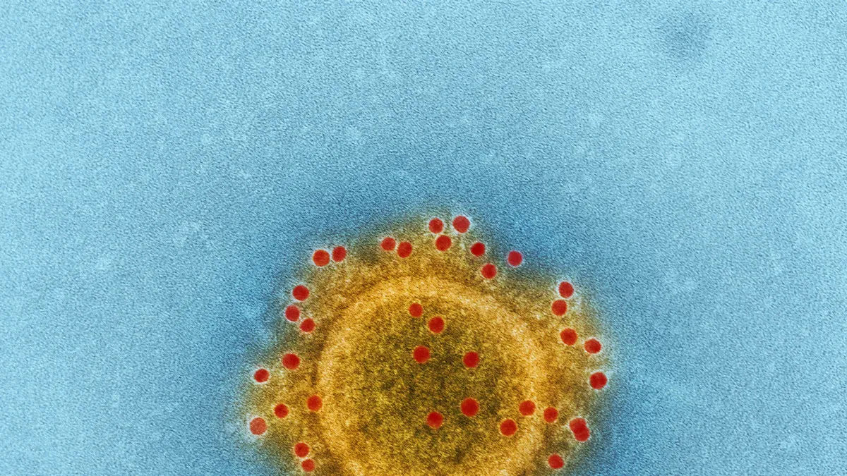 Hepatitis C Antibody Basics