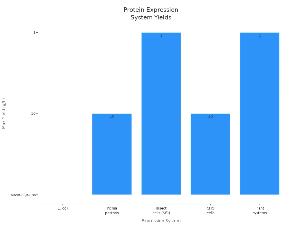 Bar chart comparing maximum protein yields of E. coli, Pichia pastoris, insect cells, CHO cells, and plant systems