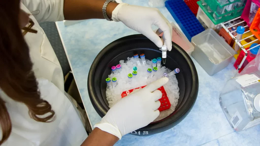 Best Practices for Pipetting in Immunoprecipitation and Beyond