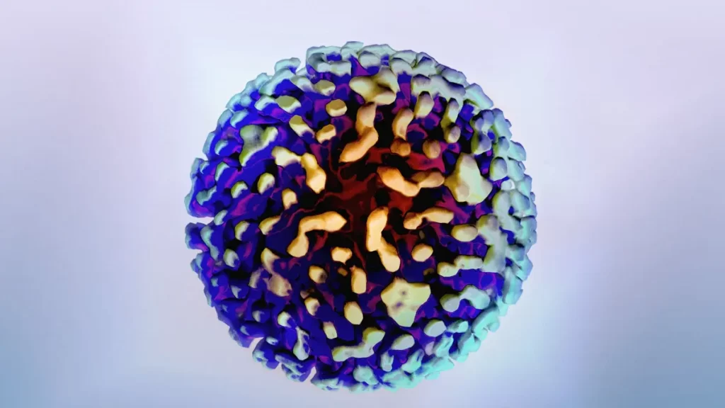 Hepatitis B Surface Antibody Reactive Results and Their Immunity Implications